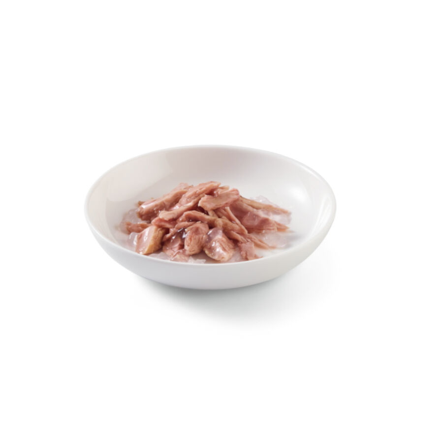 85 g Schesir Adult At&uacute;n sobres para gatos, , large indicador imagen numero 2
